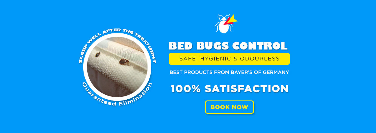 Bed Bugs Treatemnt - Upto 25% Off