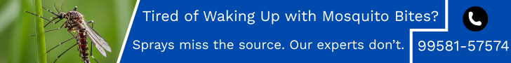 Tired of waking up with mosquito bites? Book expert mosquito control service in your City today