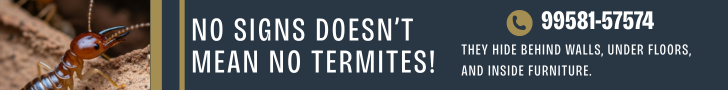 No Signs Doesn’t Mean No Termites – Book Your  Termite Inspection Today