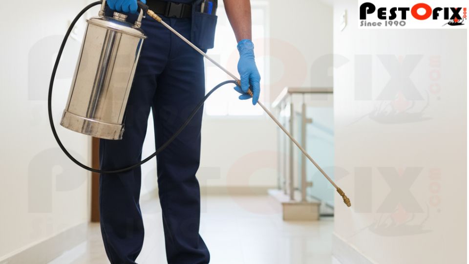 Pestofix technician spraying pest control solution in apartment hallway