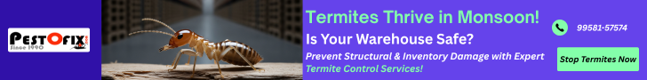 Protect your Noida warehouse from termites this monsoon — contact experts today!
