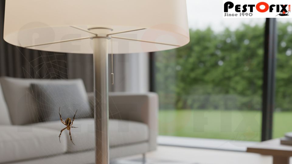 Cockroach, ant, and spider near a modern home's living room table lamp with food wrappers attracting pests