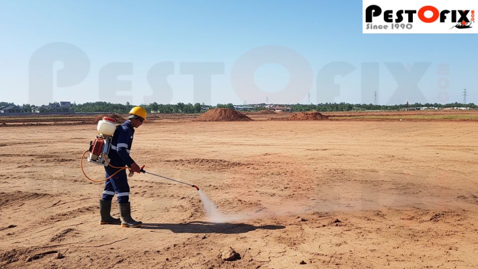 Pre-Construction Termite Treatment in Delhi, Gurgaon, and Noida for Large Construction Sites