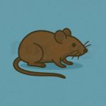 Rodents - Spring Invaders