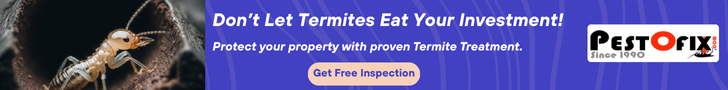 Don’t Let Termites Eat Your Investment — Act Today!