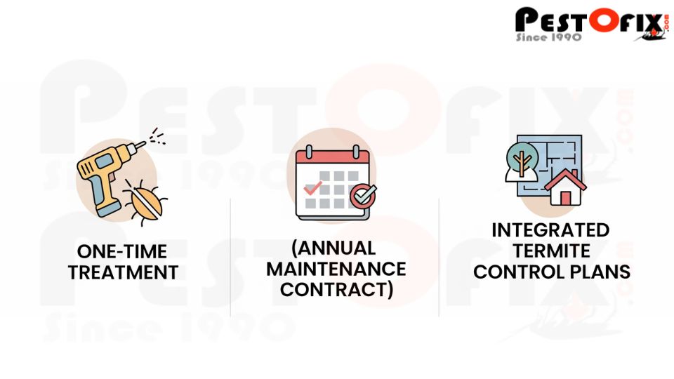 One-Time vs Ongoing Termite Treatment