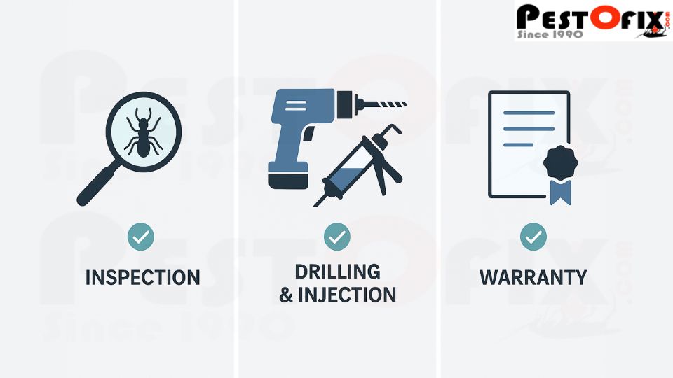 Infographic showing termite control process in Delhi with inspection, drilling and injection, and warranty certificate