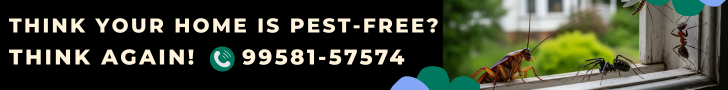 Think Your Home Is Pest? Think Again – Hidden infestations can cost you lakhs. Let Pestofix inspect what you can’t see.