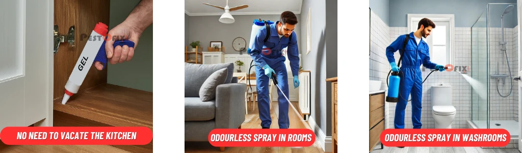 Pestofix Pest Control Treatment Steps