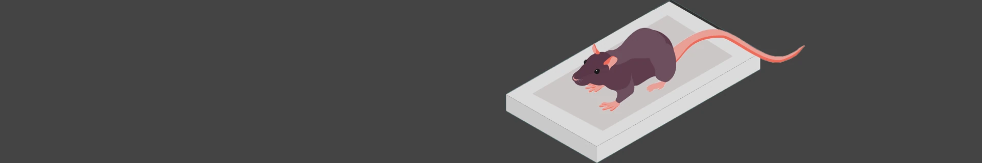 Glue trap and mechanical rodent trapping by Pestofix