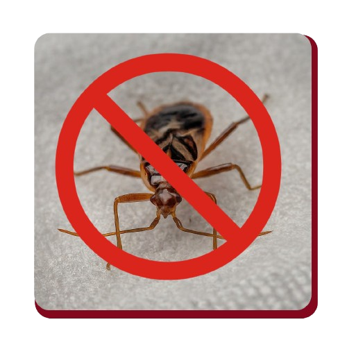 Pestofix Pest Control Services Residential & Commercial