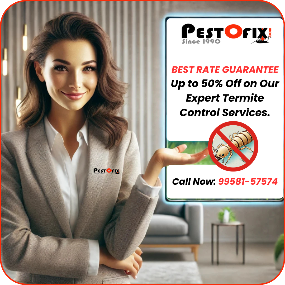 Pestofix Termite Control  50% off Offer!