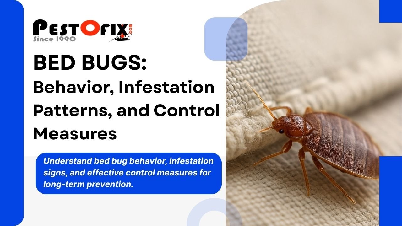 Bed Bugs: Behavior, Infestation Patterns, and Control Measures