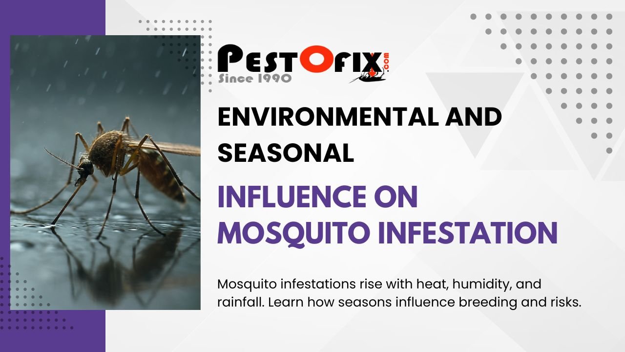 Environmental and Seasonal Influence on Mosquito Infestation